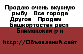 Продаю очень вкусную рыбу - Все города Другое » Продам   . Башкортостан респ.,Баймакский р-н